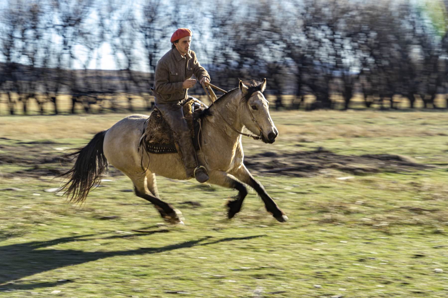 Horseback riding at Arroyo Pescado
