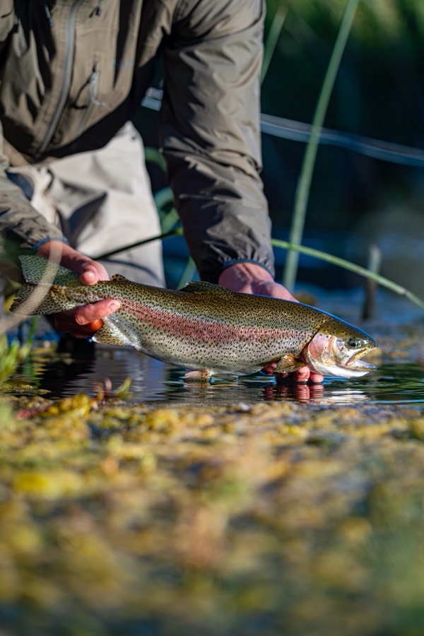 Arroyo Pescado: Fly Fishing, photo 1 of 13