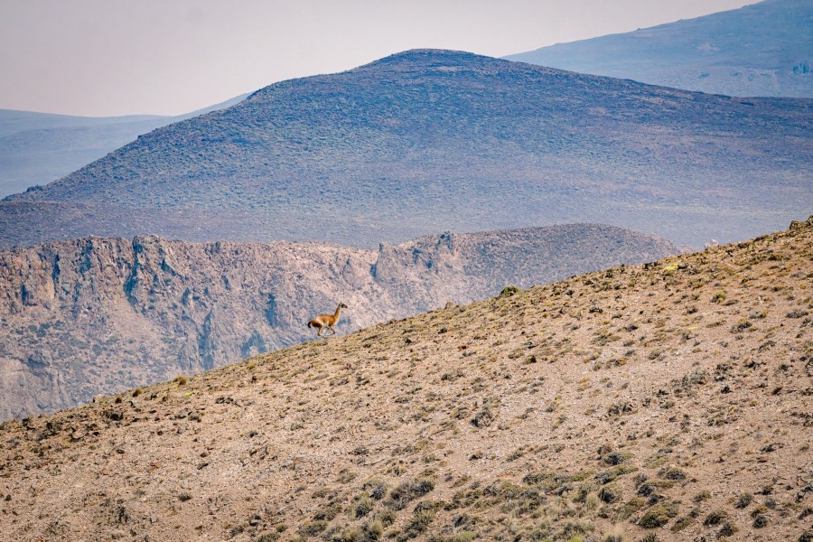 Arroyo Pescado: the Land, photo 2 of 16