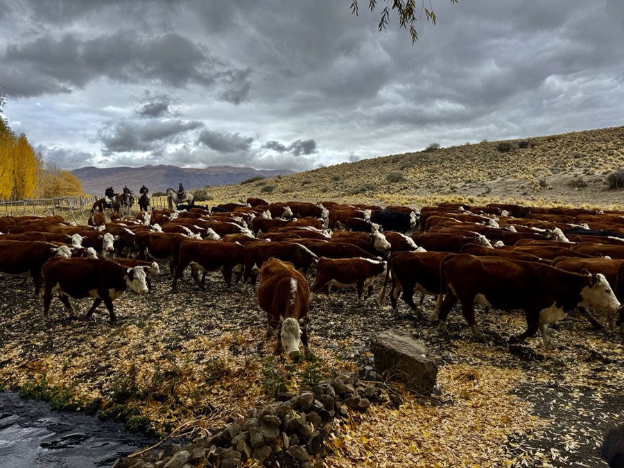 Arroyo Pescado: the Land, photo 6 of 16