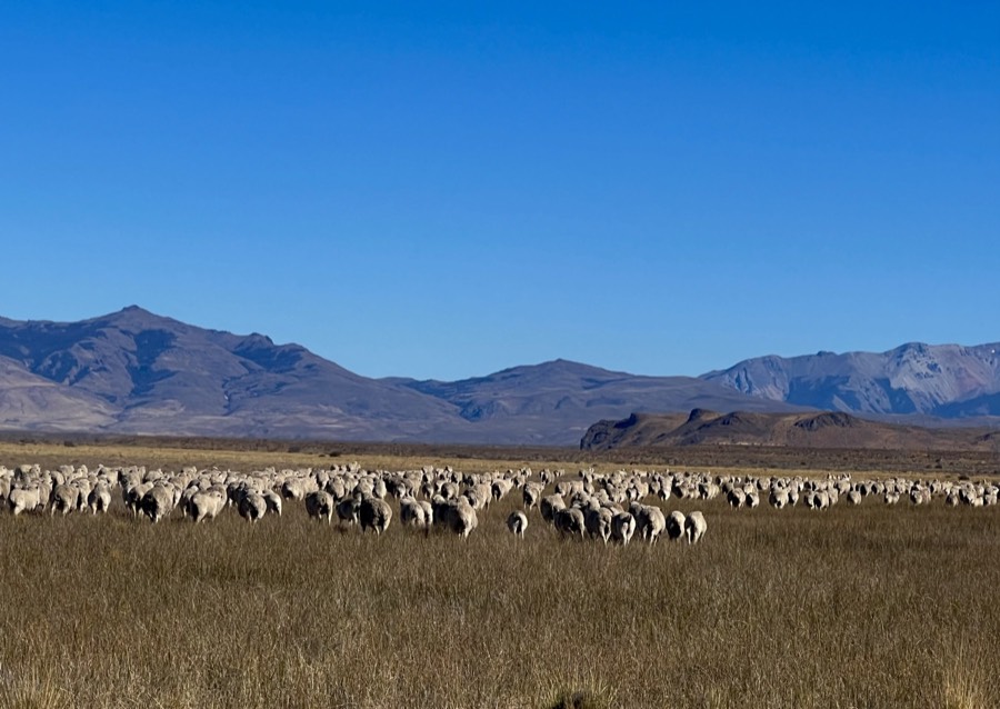 Arroyo Pescado: the Land, photo 8 of 16