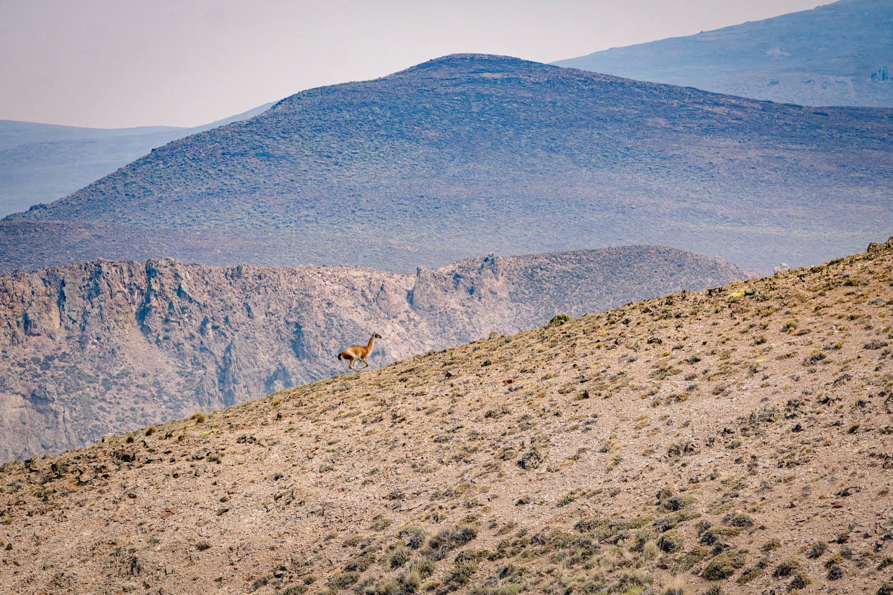 Arroyo Pescado landscape