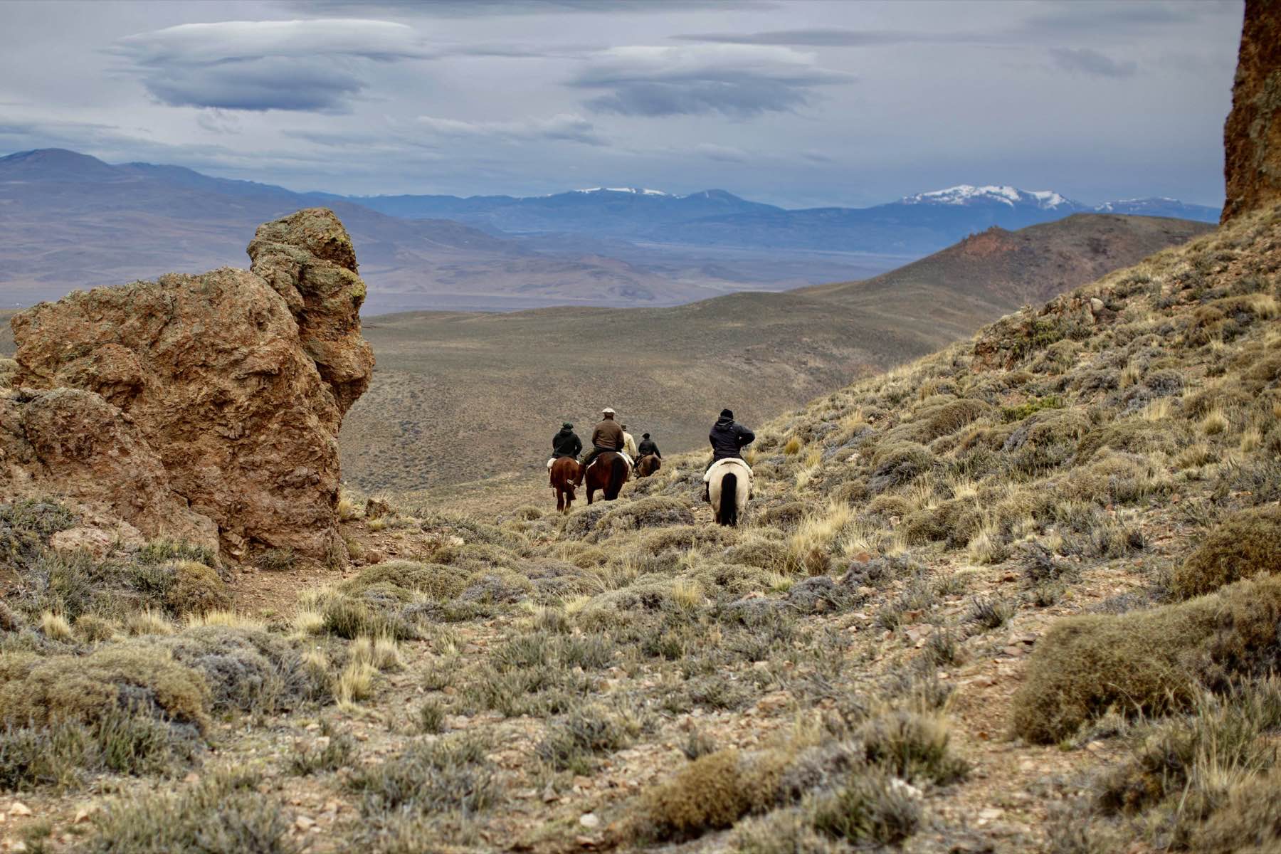 Landscape and wildlife