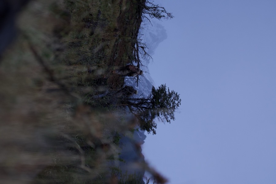 Southland Outfitter: the Hunt, photo 6 of 17