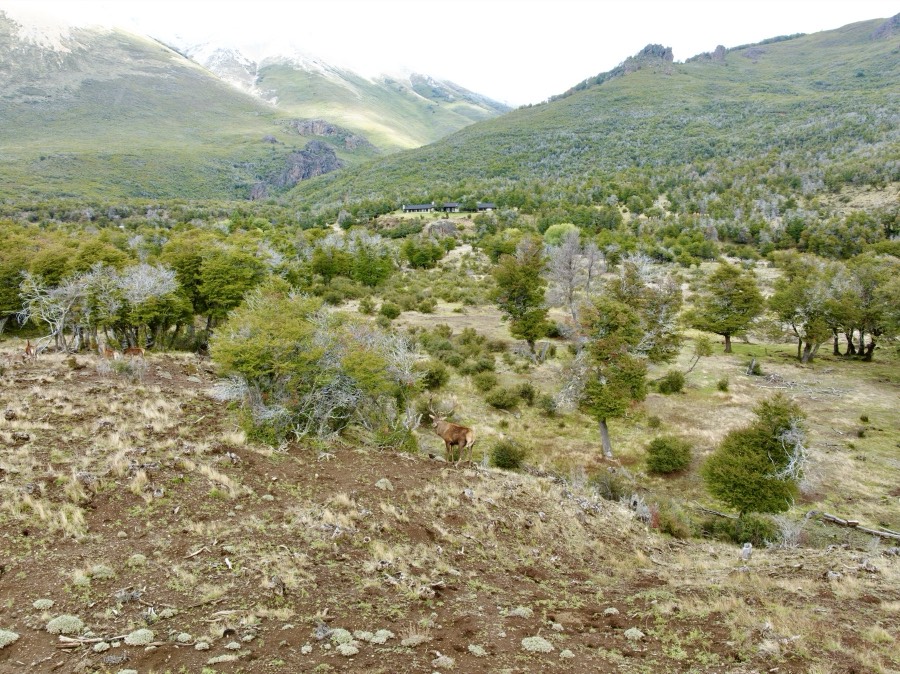 Southland Outfitter: the Lodge, photo 10 of 19